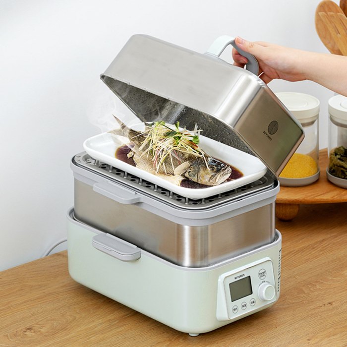 buydeem double tier 10l electric one touch digital multifunctional food steamer Steamed fish in home food steamer on kitchen counter.