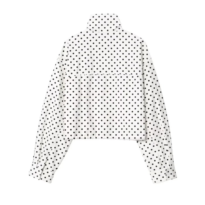 Zach polka dot chiffon crop jacket new high waisted mini shorts 3