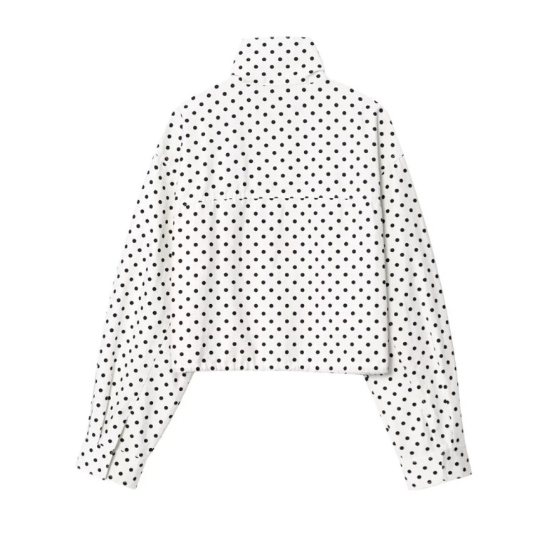 Zach polka dot chiffon crop jacket new high waisted mini shorts 3