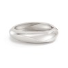 silver-2435