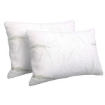 Two bamboo memory foam pillows