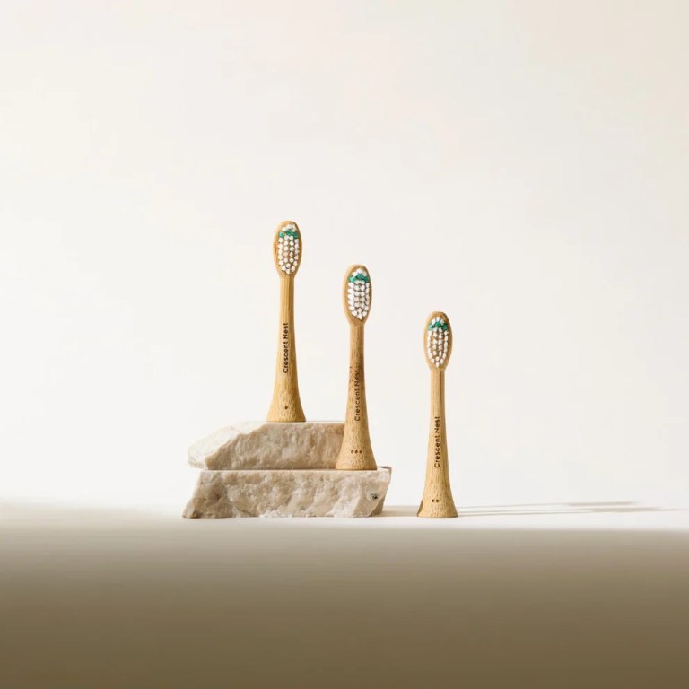 crescent nest travel ready set toothbrush