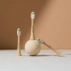 eco friendly replacement brush heads