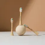 eco friendly replacement brush heads