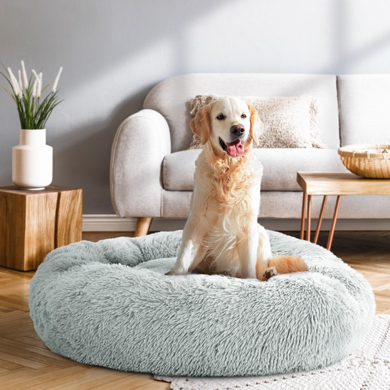 i.pet pet bed dog cat 90cm large calming soft plush light grey i.pet pet bed dog cat 90cm large calming soft plush light grey