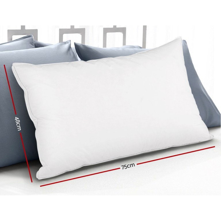 giselle bedding goose feather down pillow luxury twin pack White pillow with dimensions 75x48cm displayed.