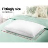giselle bedding 4 pack bed pillow family hotel 48x73cm White pillow on bed, butterfly cushions, 73x48cm dimensions.