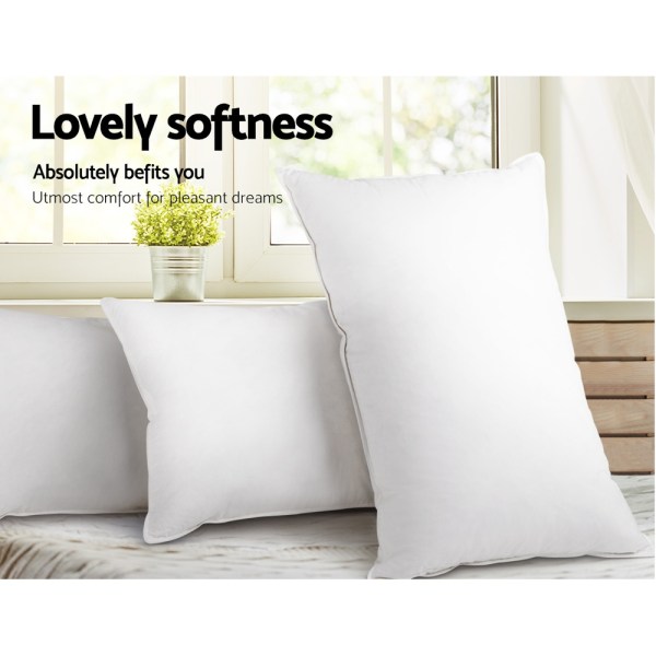 Soft white pillows on a cosy bed.