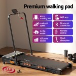 everfit treadmill electric walking pad auto incline foldable for home gym black everfit treadmill electric walking pad auto incline foldable for home gym black