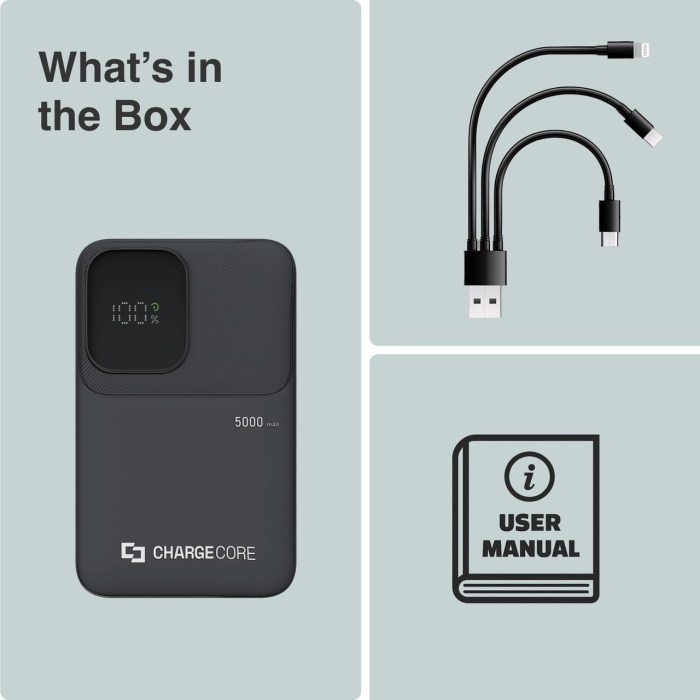 ChargeCore power bank, cables, user manual included.