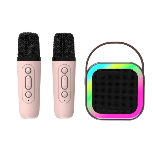 Two microphones, rainbow speaker, karaoke setup.