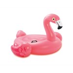 v1032 ixflamingo 57558 202509090915 00.jpg