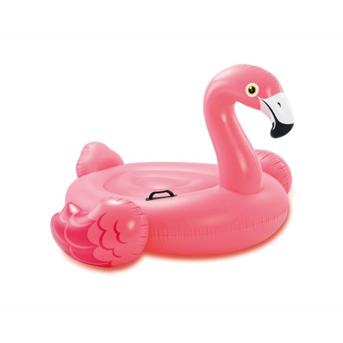 v1032 ixflamingo 57558 202509090915 00.jpg