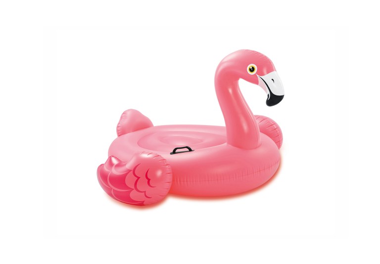 v1032 ixflamingo 57558 202509090915 00.jpg