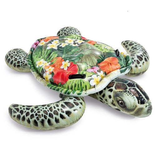 v1032 ixrealisticturtle 57555 202509090916 00.jpg