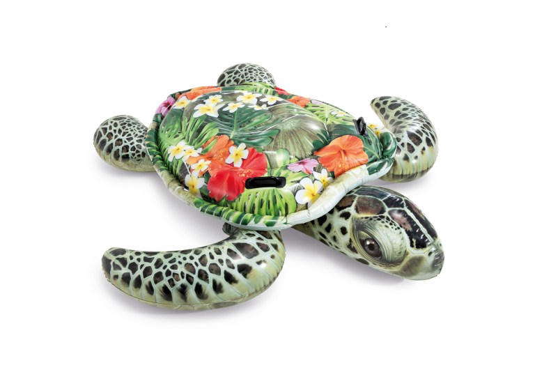 v1032 ixrealisticturtle 57555 202509090916 00.jpg