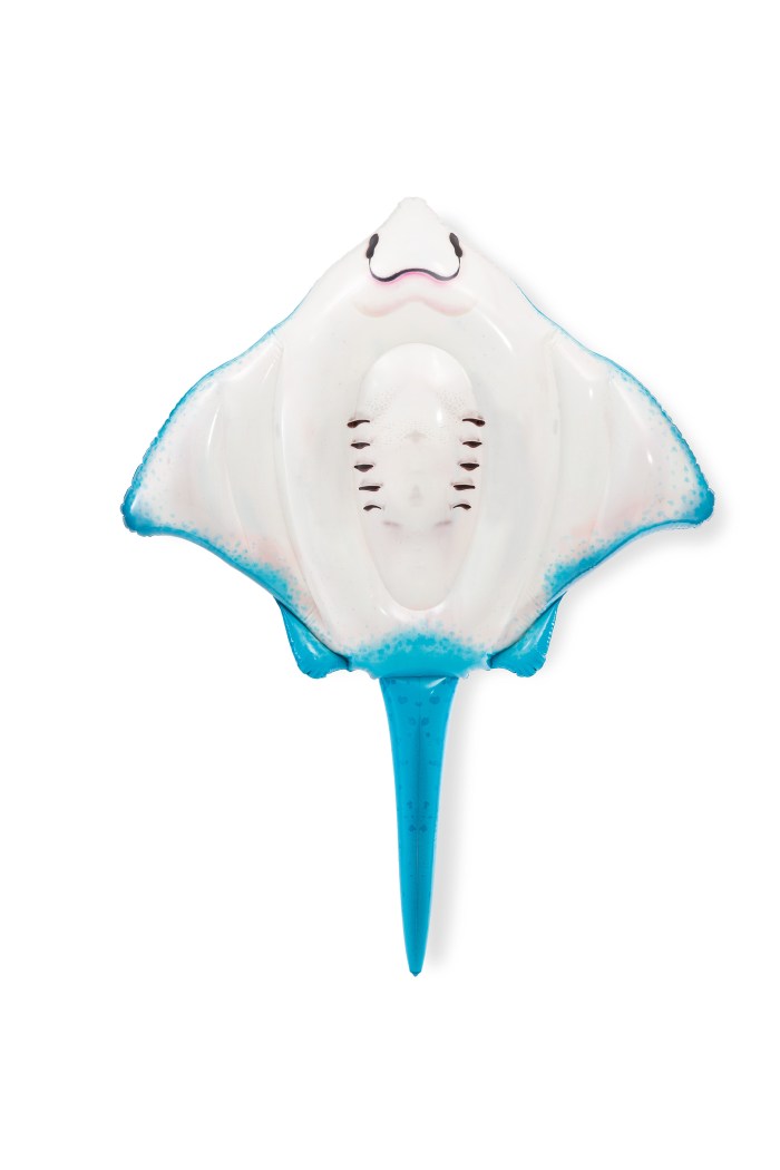 intex stingray ride on 57576 Blue and white inflatable stingray toy.