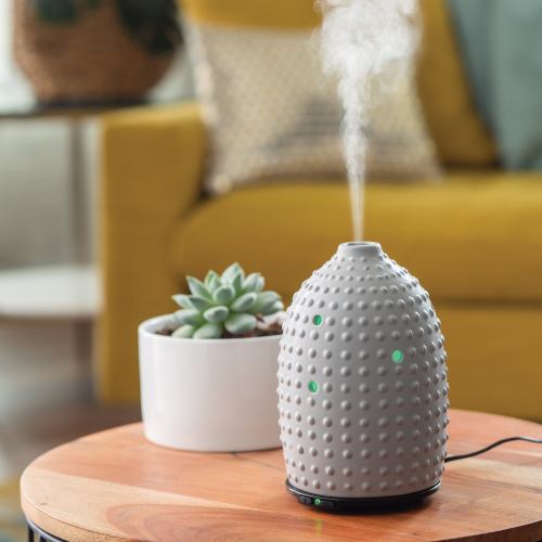 Ceramic diffuser emitting steam next to succulent plant.