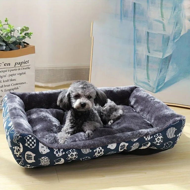 xxl blue pet dog bed sofa mat for cats and dogs xxl blue pet dog bed sofa mat for cats and dogs