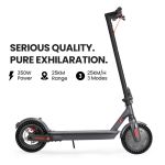 Electric scooter with 350W power, 25KM range.