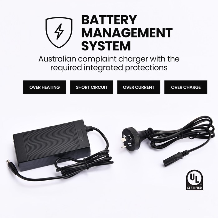 alpha urban 10 electric scooter, 35km/h, suspension, 35km range, 10 inch wheels, brushless motor, free app, motorised commuter escooter for adults, grey Australian compliant battery charger with protection features.
