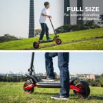Rider on electric scooter in park.