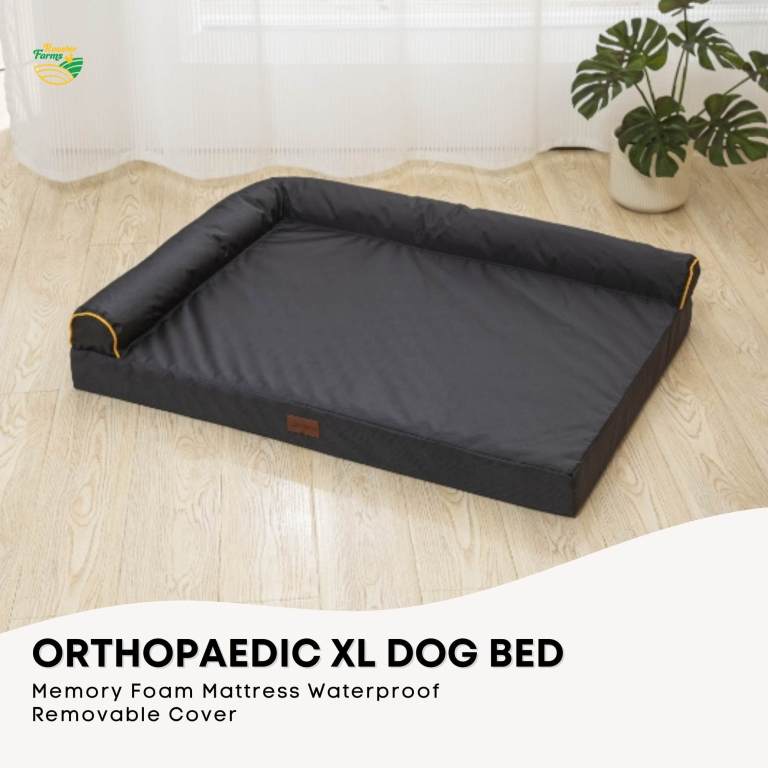 orthopaedic dog bed xl grey memory foam mattress waterproof removable cover orthopaedic dog bed xl grey memory foam mattress waterproof removable cover