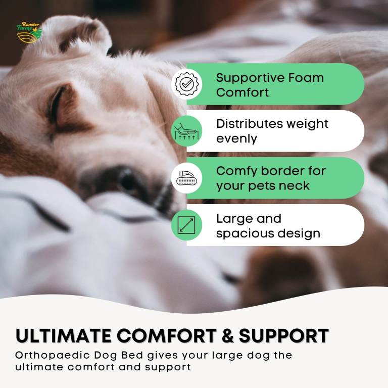 orthopaedic dog bed xl grey memory foam mattress waterproof removable cover orthopaedic dog bed xl grey memory foam mattress waterproof removable cover