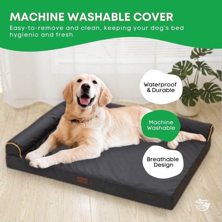 orthopaedic dog bed xl grey memory foam mattress waterproof removable cover orthopaedic dog bed xl grey memory foam mattress waterproof removable cover