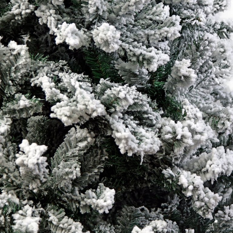 Snow-covered fir tree branches close-up view.