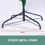 30cm sturdy metal tree stand on white background.