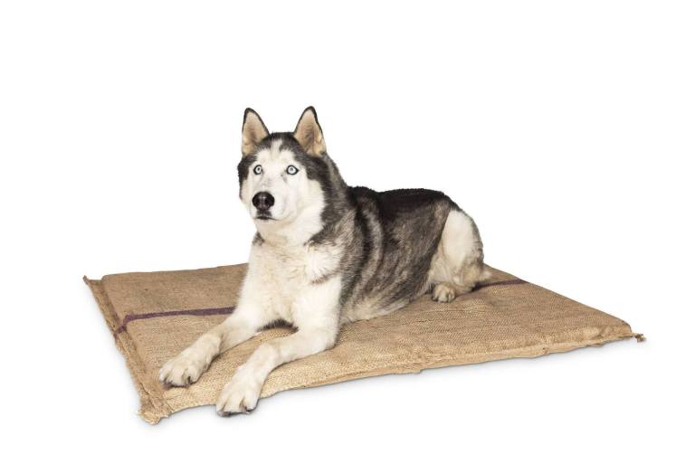 v278 hessian bed jumbo 69428 00.jpg v278 hessian bed jumbo 69428 00.jpg