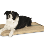 v278 hessianbed 85627 00.png v278 hessianbed 85627 00.png