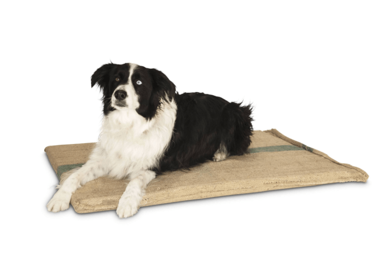 v278 hessianbed 85627 00.png v278 hessianbed 85627 00.png