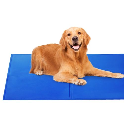 v278 pet bed cool mx2 98114 00.jpg v278 pet bed cool mx2 98114 00.jpg