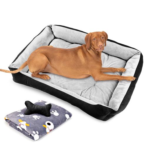 v465 29704 149178 00.jpg
