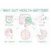 good gut health and faster recovery with fossil shell flour, curcumin, and electrolyte powder Gut health impacts immunity, sleep, skin, mental health.