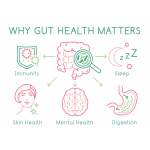 good gut health and faster recovery with fossil shell flour, curcumin, and electrolyte powder Gut health impacts immunity, sleep, skin, mental health.