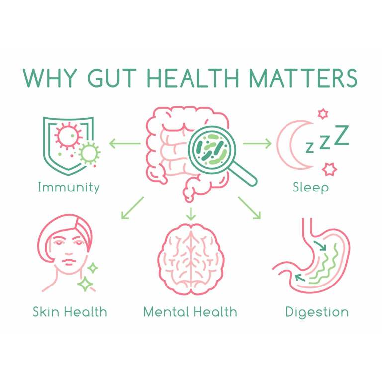 good gut health and faster recovery with fossil shell flour, curcumin, and electrolyte powder Gut health impacts immunity, sleep, skin, mental health.