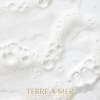 2x terre a mer pure hydration amino acid/argan oil shampoo 60ml travel size Foamy hair care product with bubbles and branding.