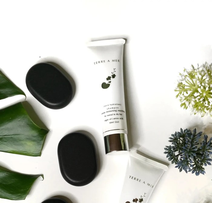 2x terre a mer pure hydration amino acid/argan oil shampoo 60ml travel size Terre A Mer shampoo with black stones and greenery.