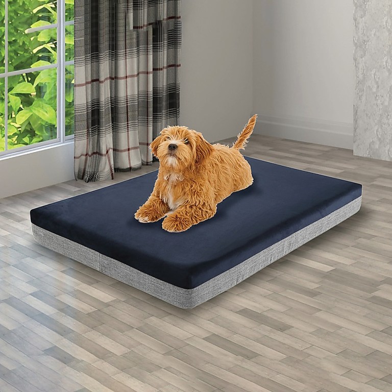 memory foam dog bed 12cm thick large orthopedic dog pet beds waterproof big memory foam dog bed 12cm thick large orthopedic dog pet beds waterproof big