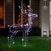 v720 xl1445 202158 04.jpg Outdoor reindeer Christmas lights decoration illuminated at night.