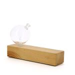Minimalist glass and wood decorative piece