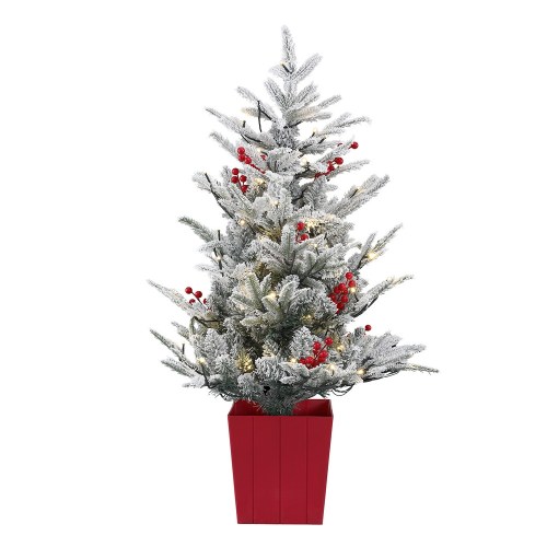 xm tr 3ft gs led pot 202509042108 00.jpg