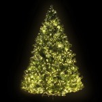 Brightly lit Christmas tree with green branches.