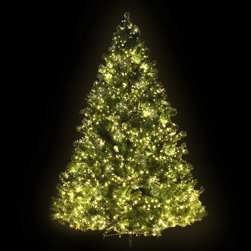Brightly lit Christmas tree with green branches.