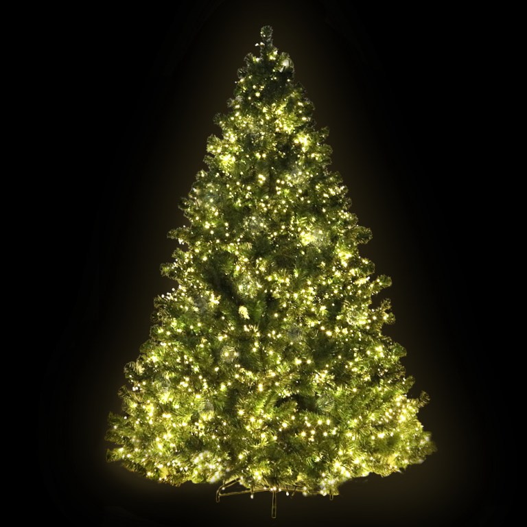 Brightly lit Christmas tree with green branches.