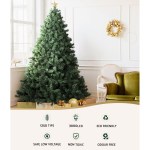 Decorated Christmas tree with star and wreath indoors.