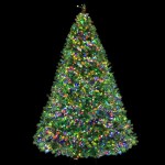 Decorated Christmas tree with colourful lights.
